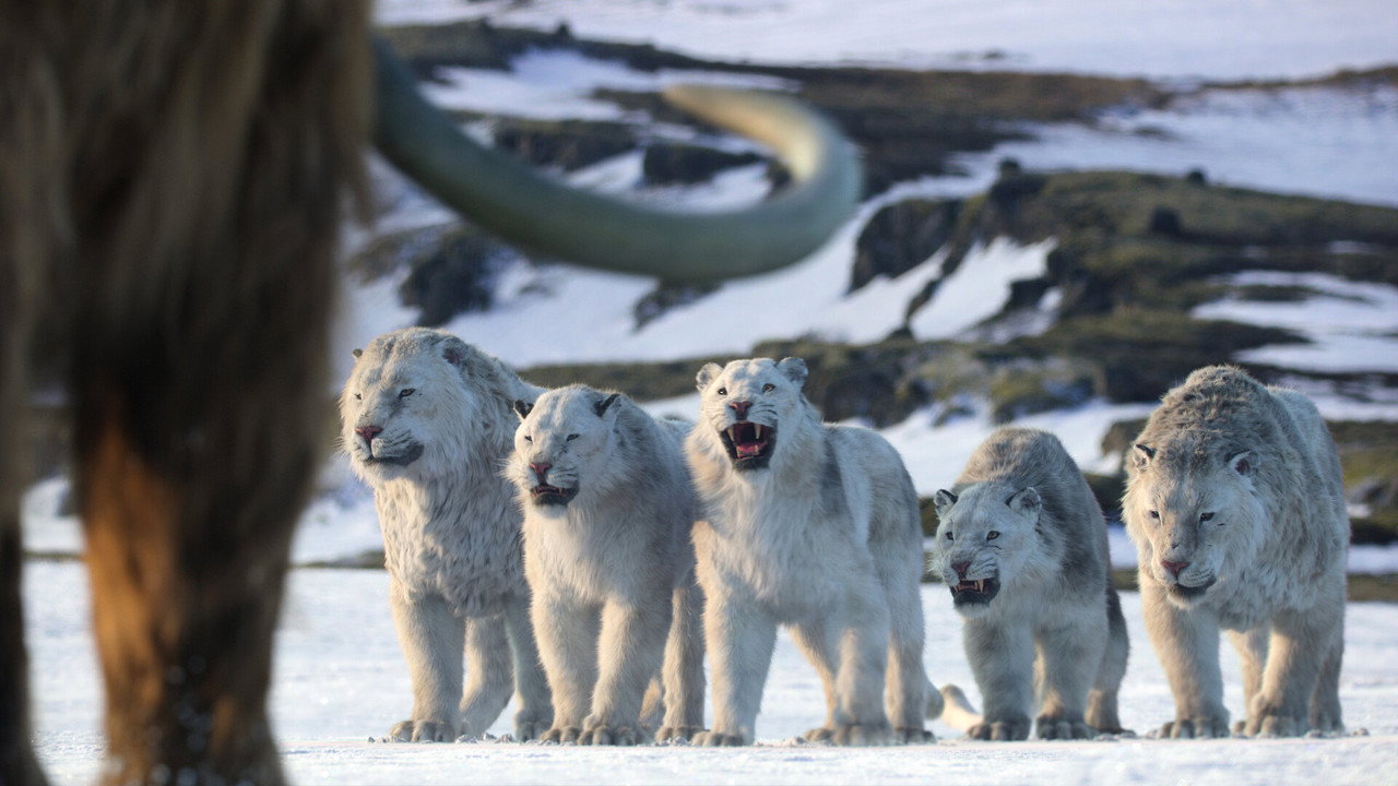 Age of Ice and Fire