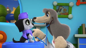 Bailey and the Doggy Doctor/Dog for a Day