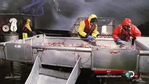 Прямиком к катастрофе