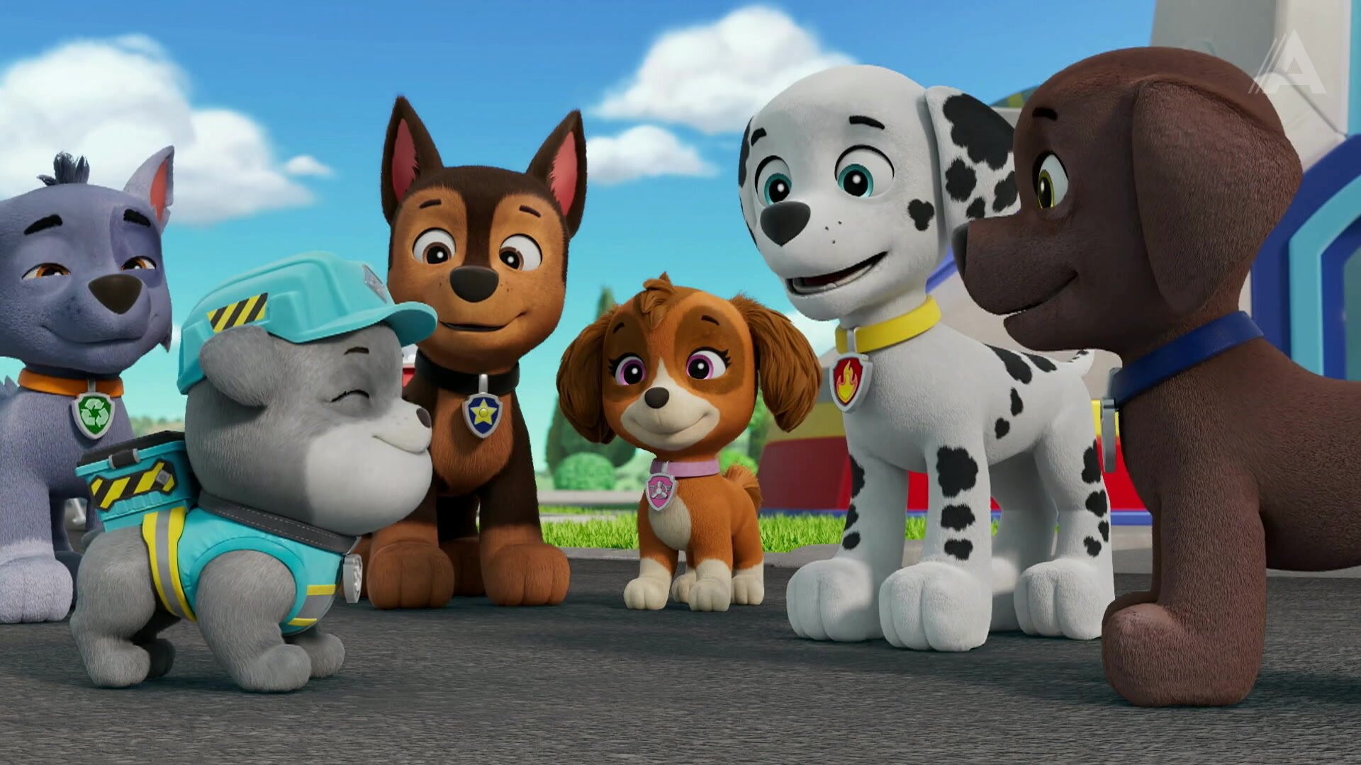 Pups vs. The Robo-Ducky/Pups Save the Lost Penguin