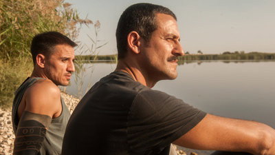 Cicatrices