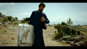 The priest and the parrot