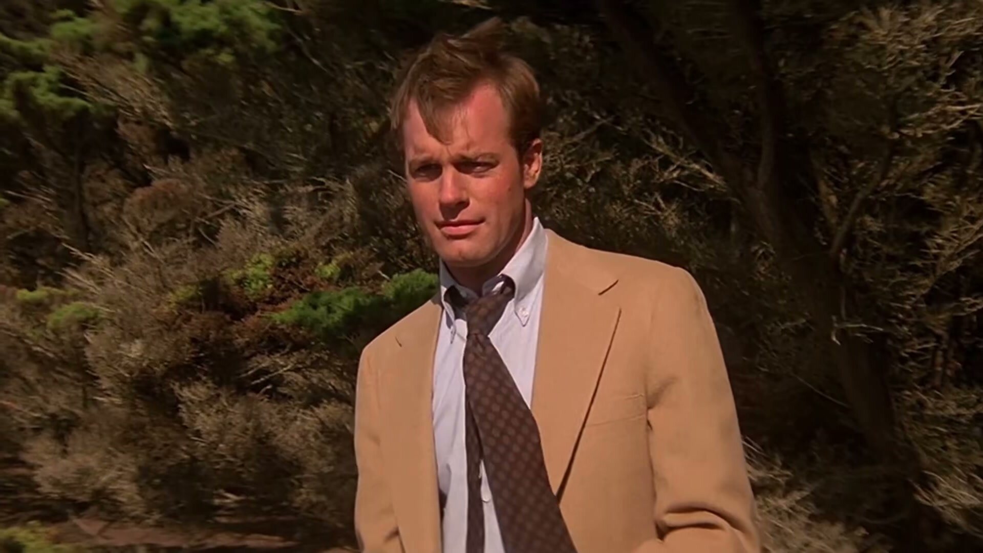 Stephen Collins, America\'s Dad