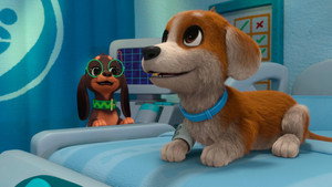 Pup Fiction/Night at the Pawspital
