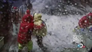 Морские перемены