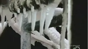 Океан горести