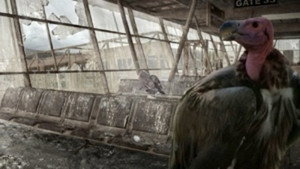 Бескрайнее небо