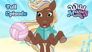 The Hoof Polish