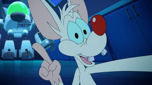 Planet Warner/Talladega Mice: The Ballad of Pinky Brainy/D.I.Why