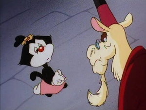 The Flame/Wakko\'s America/Davey Omelette/Four Score and Seven Migraines Ago