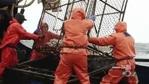 Арктические поиски