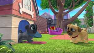Hissy\'s Big Day/Go, Dog. Go!