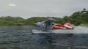 Dream Flight Disaster