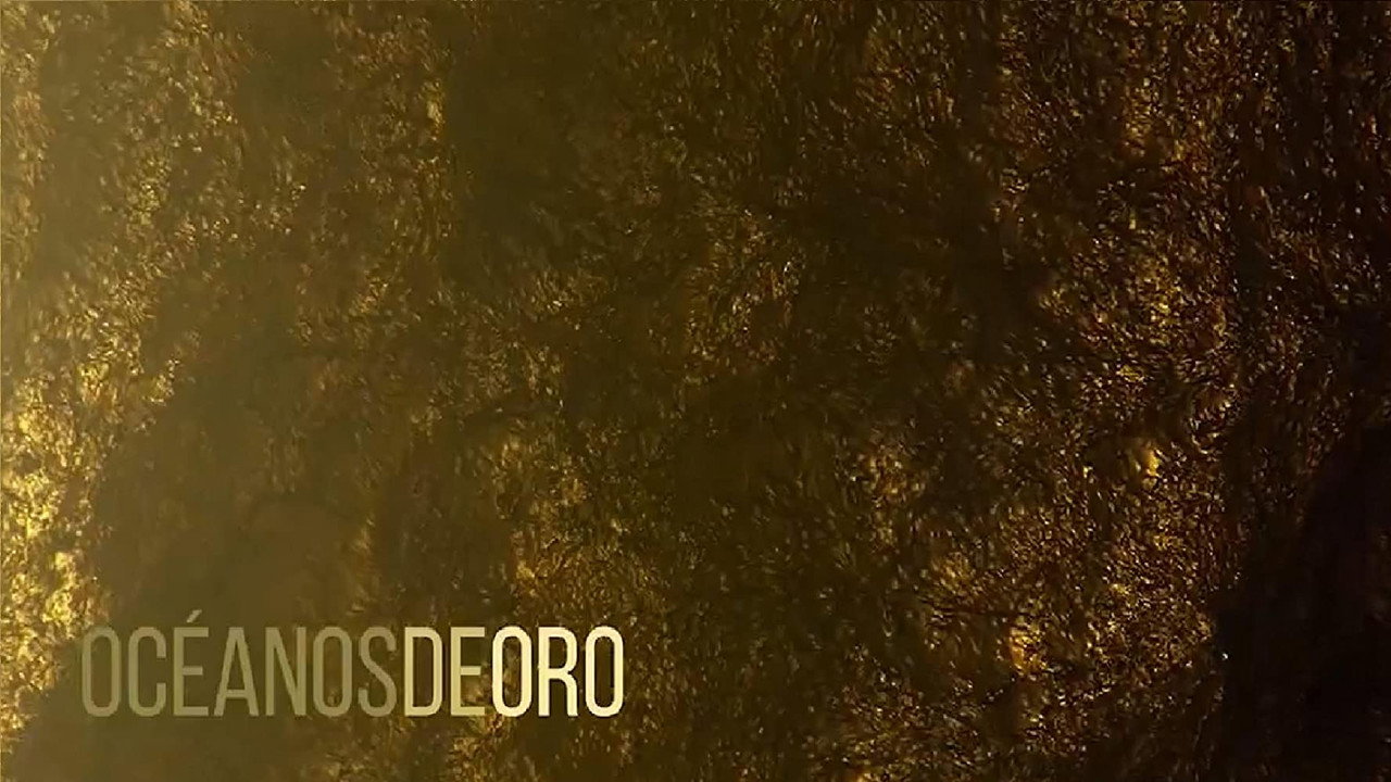 Episodio 4