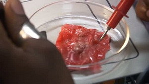 Сотворенный