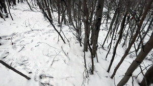 Эпизод 9
