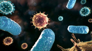 Aliens Of The Microcosmos
