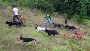 Territorio de Zaguates