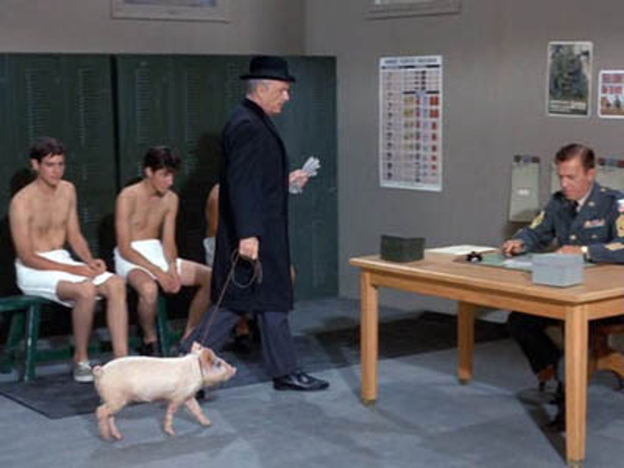 I Didn\'t Raise My Pig to Be a Soldier