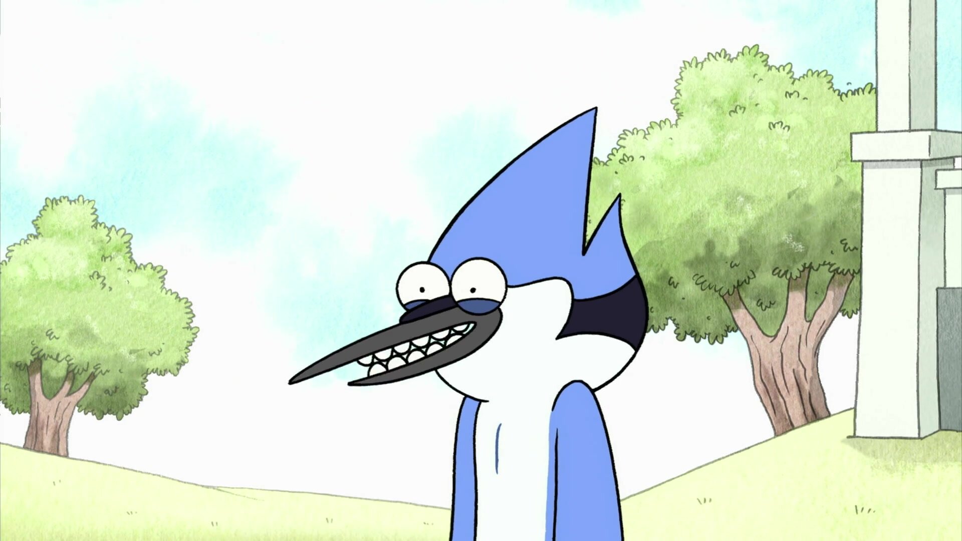 Кулаки правосудия