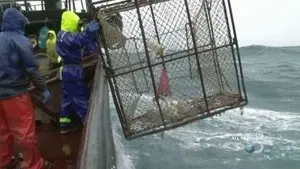 Проверка морем