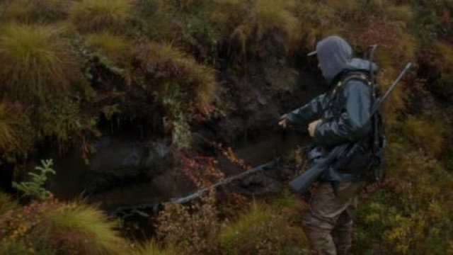 Hit the Ground Hunting
