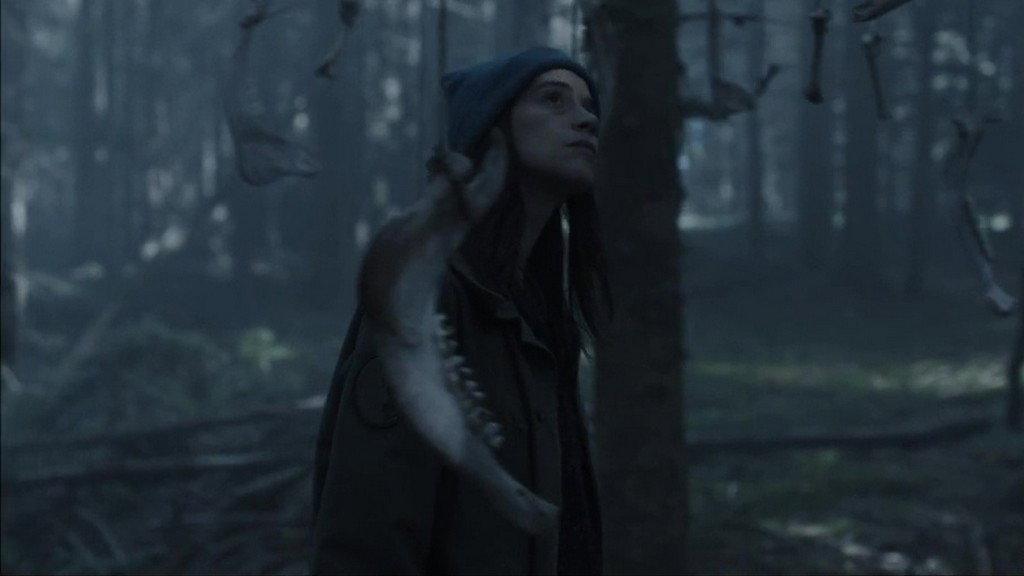 No More Walks in the Woods