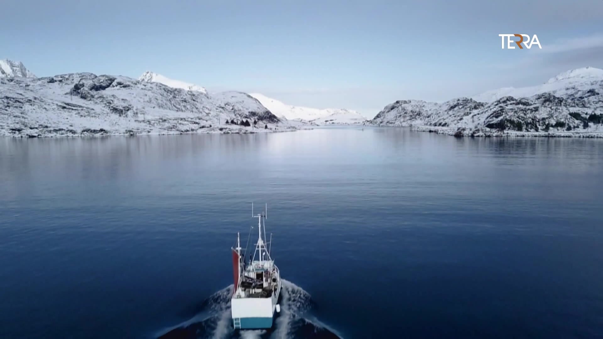 The Arctic Shipwreck