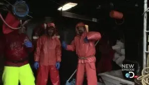 Школа пиратов