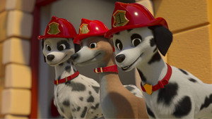 Firedogs to the Rescue!/Pup-Up Playground