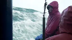 Hail Mary, Full of Crab