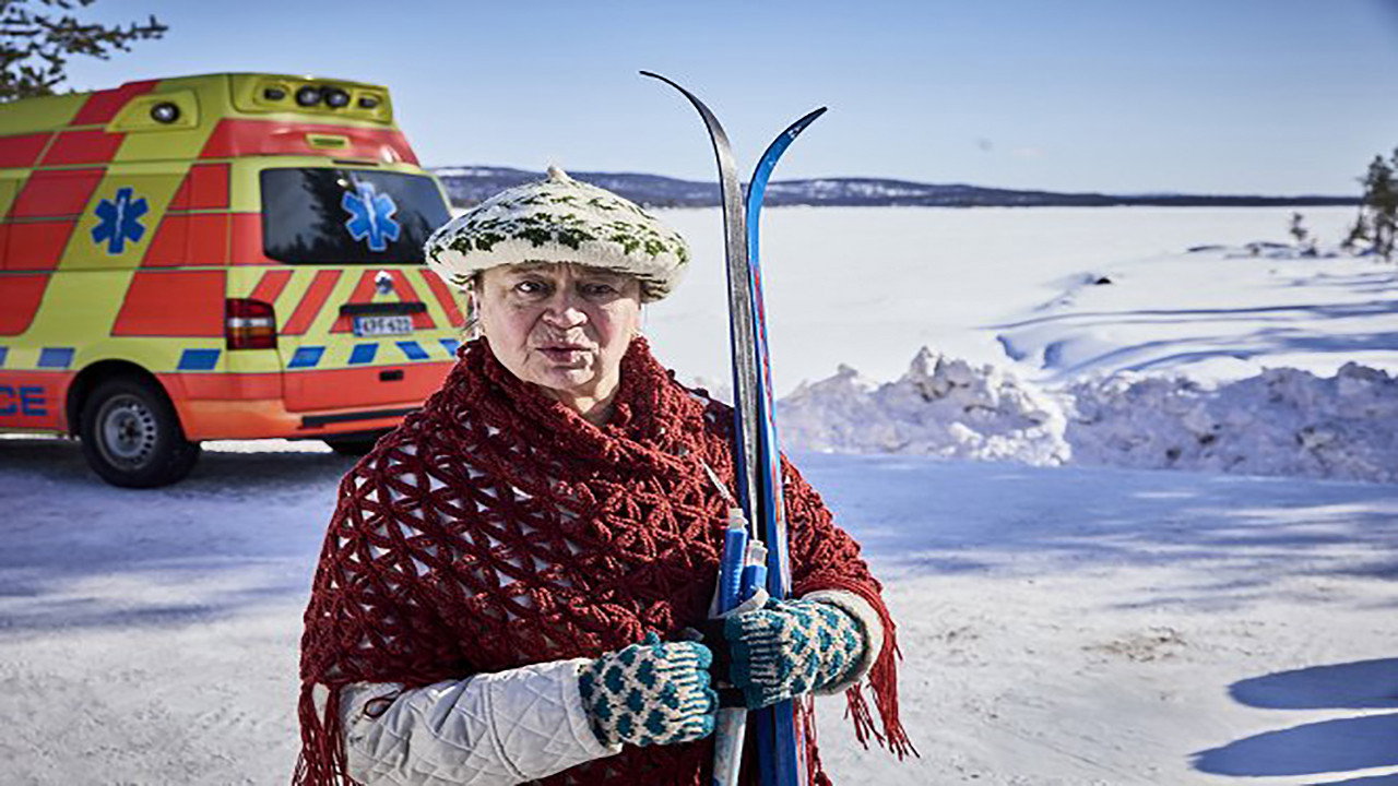 Kaukainen vieras