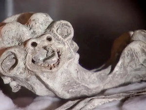 Ужас леденящий кровь