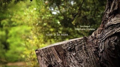 La nuit des gastéropodes