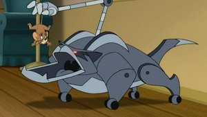 Tin Cat of Tomorrow/Beefcake Tom/Tomcat Superstar