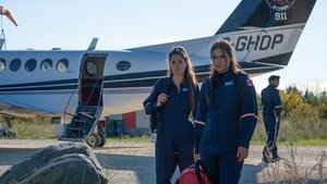 Pilots And Nurses And Bears, Oh My!