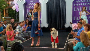 Dog on a Catwalk