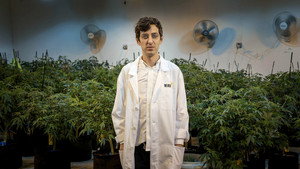 Beating Blindness/White Collar Weed