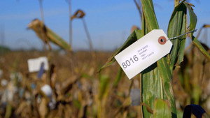 Savior Seeds & India\'s Water Crisis