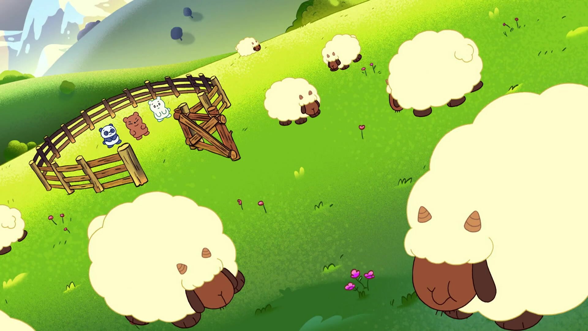 Sheep Bears