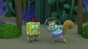 In Search of Camp Noodist/Kitchen Sponge