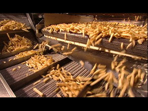 Воздушные шарики/Обои/Замороженный картофель-фри/Лампочки накаливания