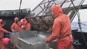 Меньше слов и больше дела