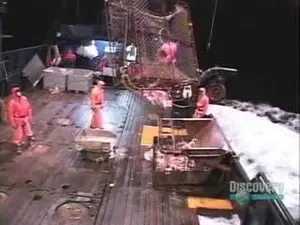 Долгие бессонные ночи