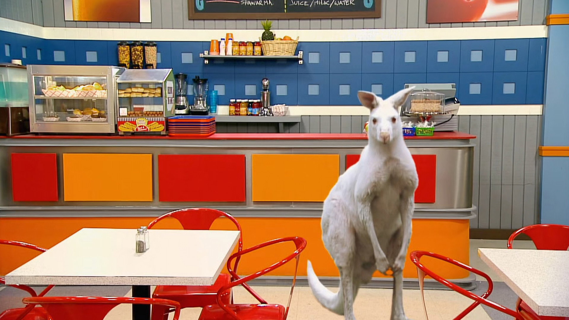 Kangaroo Jax
