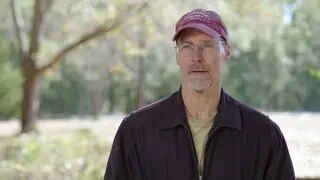 The Birds and the Bees