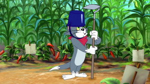 Summer Squashing/League of Cats/Little Big Mouse
