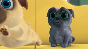 Pigs and Pugs/Bob Loves Mona