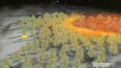 Forest Fire