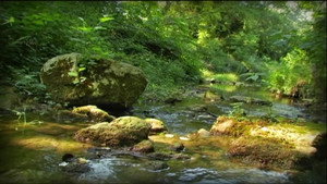 La chenille et le ruisseau